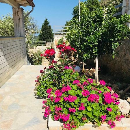 Vila Milo Daire Vuno Dış mekan fotoğraf