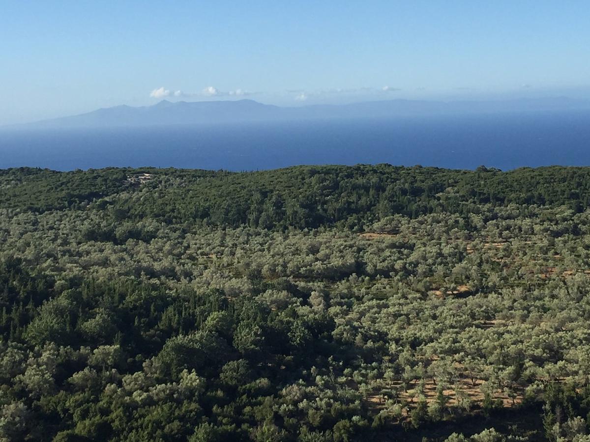 Vila Milo Daire Vuno Dış mekan fotoğraf