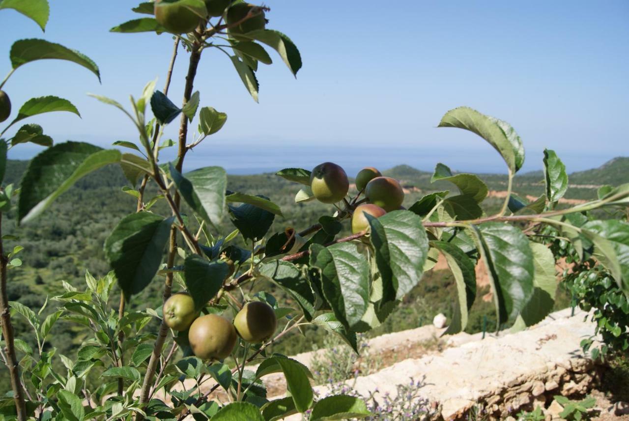 Vila Milo Daire Vuno Dış mekan fotoğraf