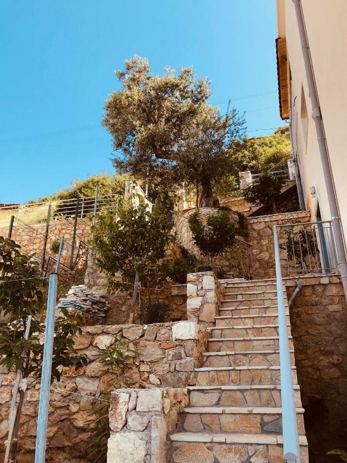Vila Milo Daire Vuno Dış mekan fotoğraf