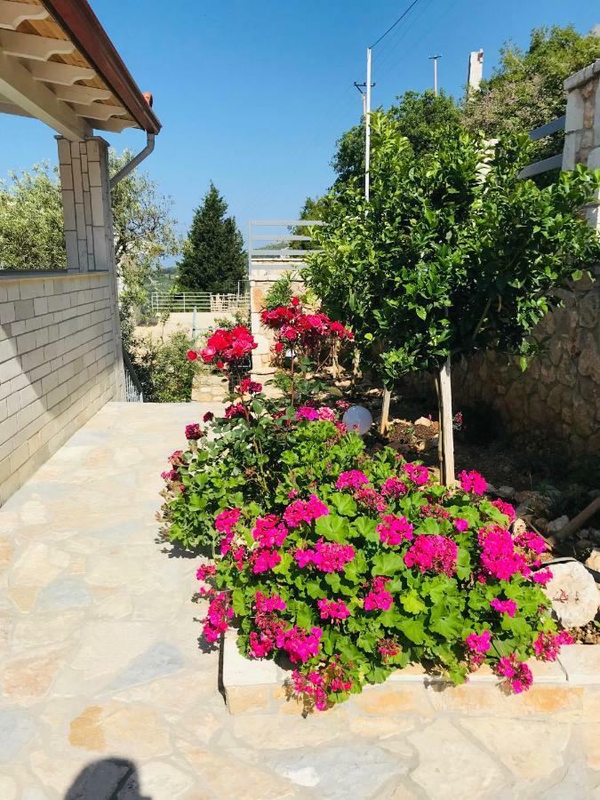 Vila Milo Daire Vuno Dış mekan fotoğraf