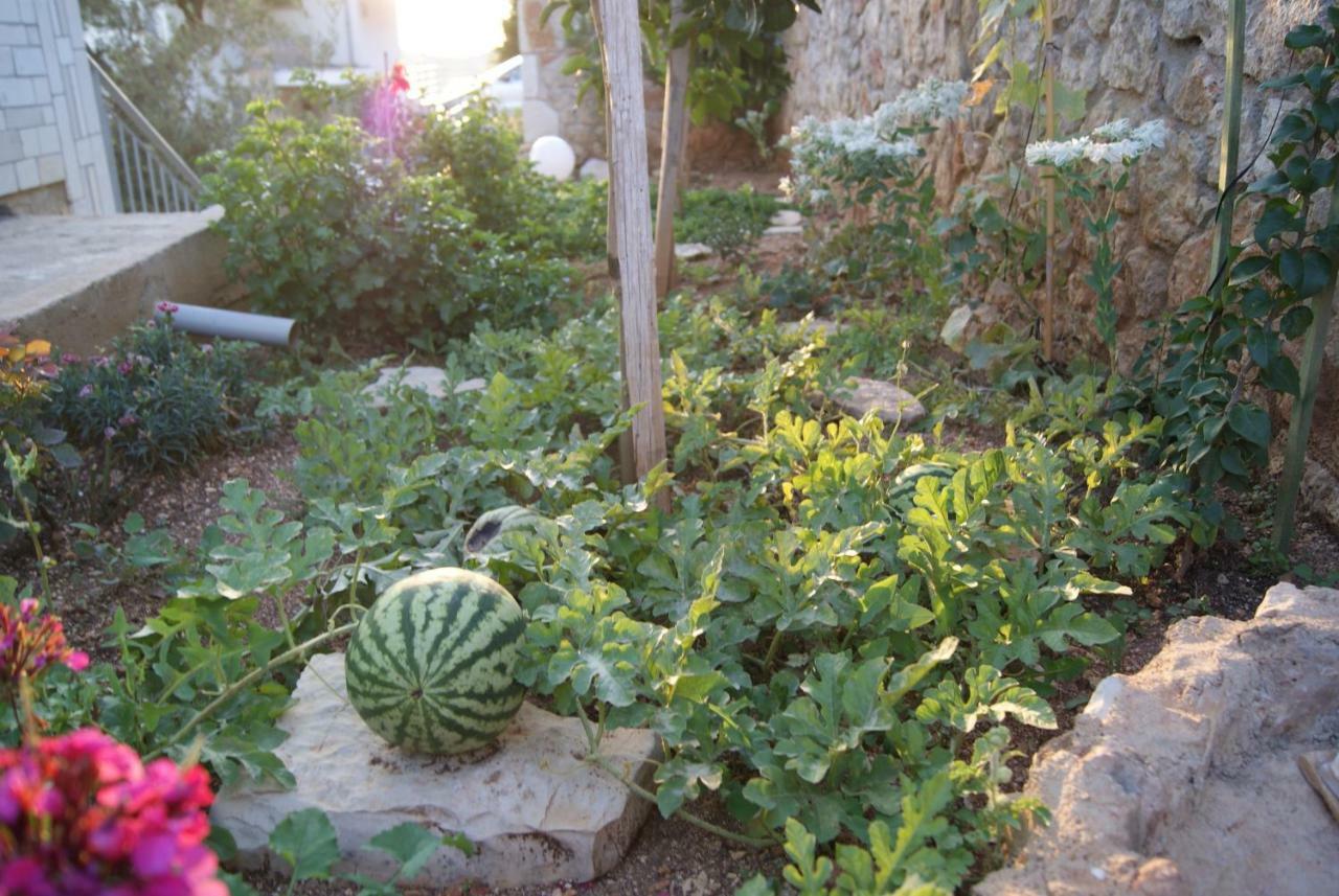 Vila Milo Daire Vuno Dış mekan fotoğraf